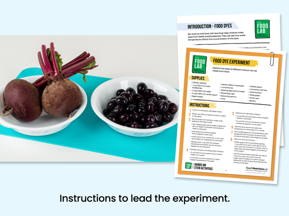 Food dyes - Beets and blueberries in bowls - Instructions to lead the experiment - Food lab program - STEM